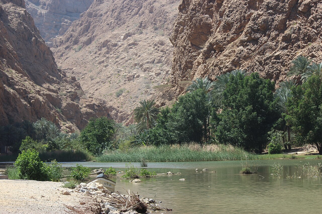 Wasserbecken und grüne Vegetation zwischen Felswänden im Wadi Shab